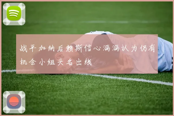 战平加纳后赖斯信心满满认为仍有机会小组头名出线