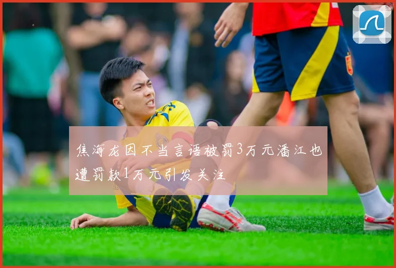 焦海龙因不当言语被罚3万元潘江也遭罚款1万元引发关注