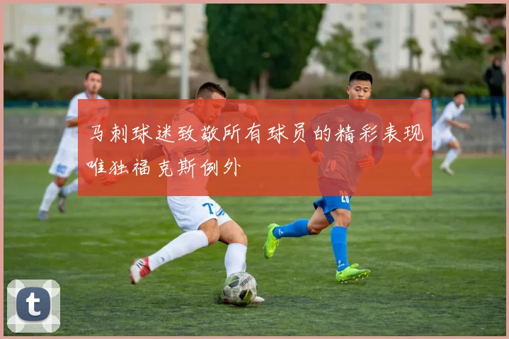 马刺球迷致敬所有球员的精彩表现唯独福克斯例外